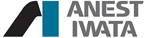 Anest Iwata